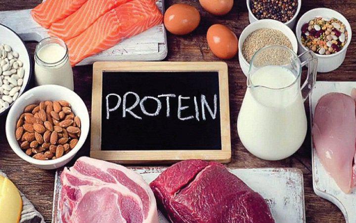 Cung cấp đủ protein