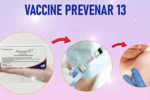 Prevenar 13 – Một mũi tiêm chống 13 type phế cầu khuẩn