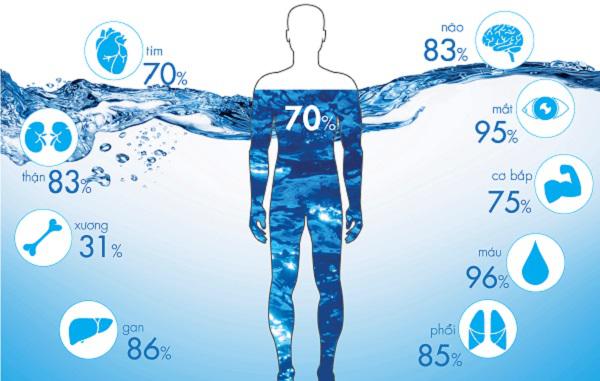 Nhu cầu sử dụng nước hàng ngày theo khuyến cáo của WHO