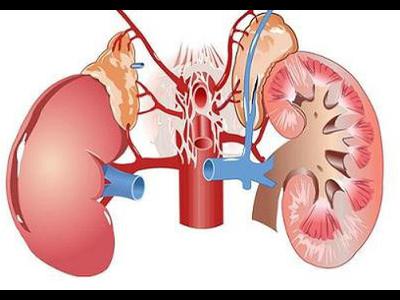 Cảnh báo chức năng thận suy giảm