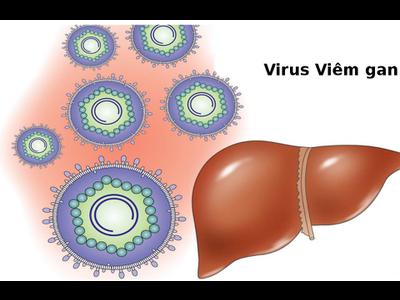 Viêm gan virus B là gì? Phòng tránh viêm gan B